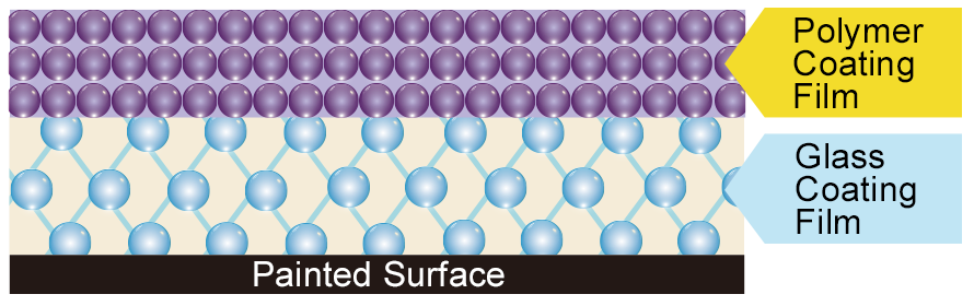 Polymer Coating Film　Glass Coating Film